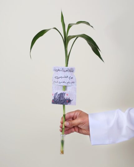 توزيعات ساق البامبو معلق بكارت (يوم التأسيس ) مع وعاء لحفظ الماء