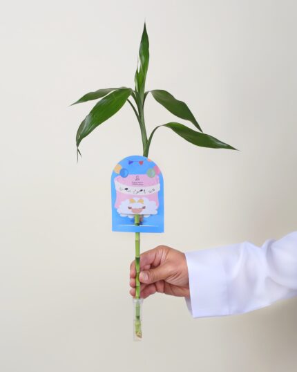 توزيعات ساق البامبو معلق بكارت (عيد اضحى سعيد ) مع وعاء لحفظ الماء