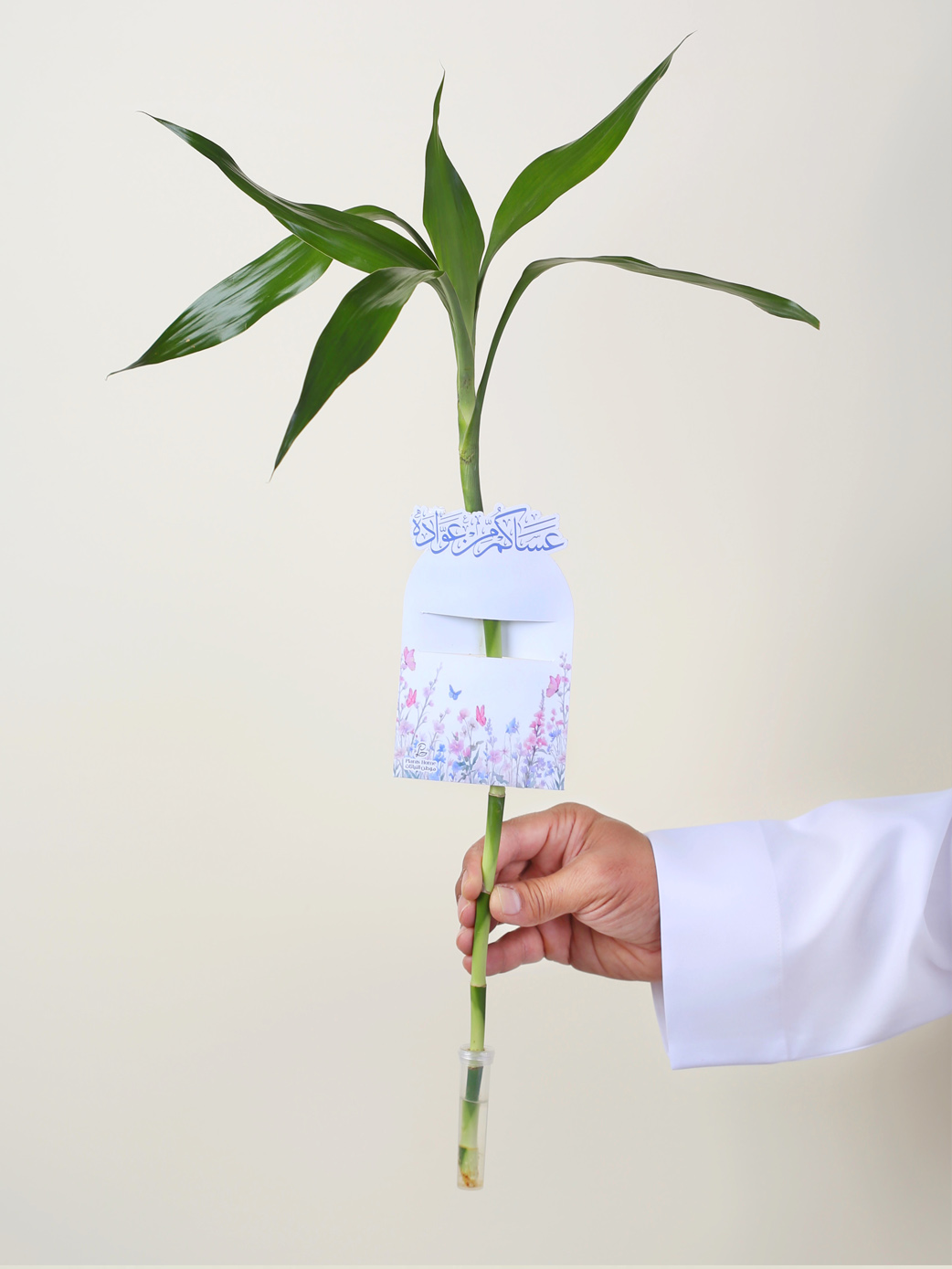 توزيعات ساق البامبو معلق بكارت (عساكم من عوادة ) مع وعاء لحفظ الماء