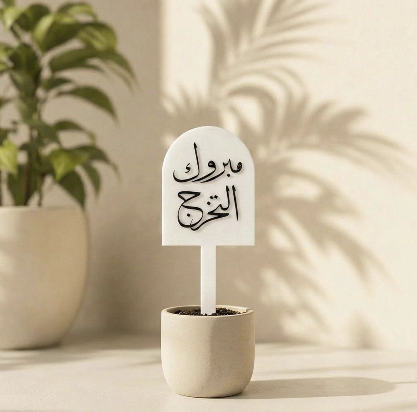 تغريسة مبروك التخرج
