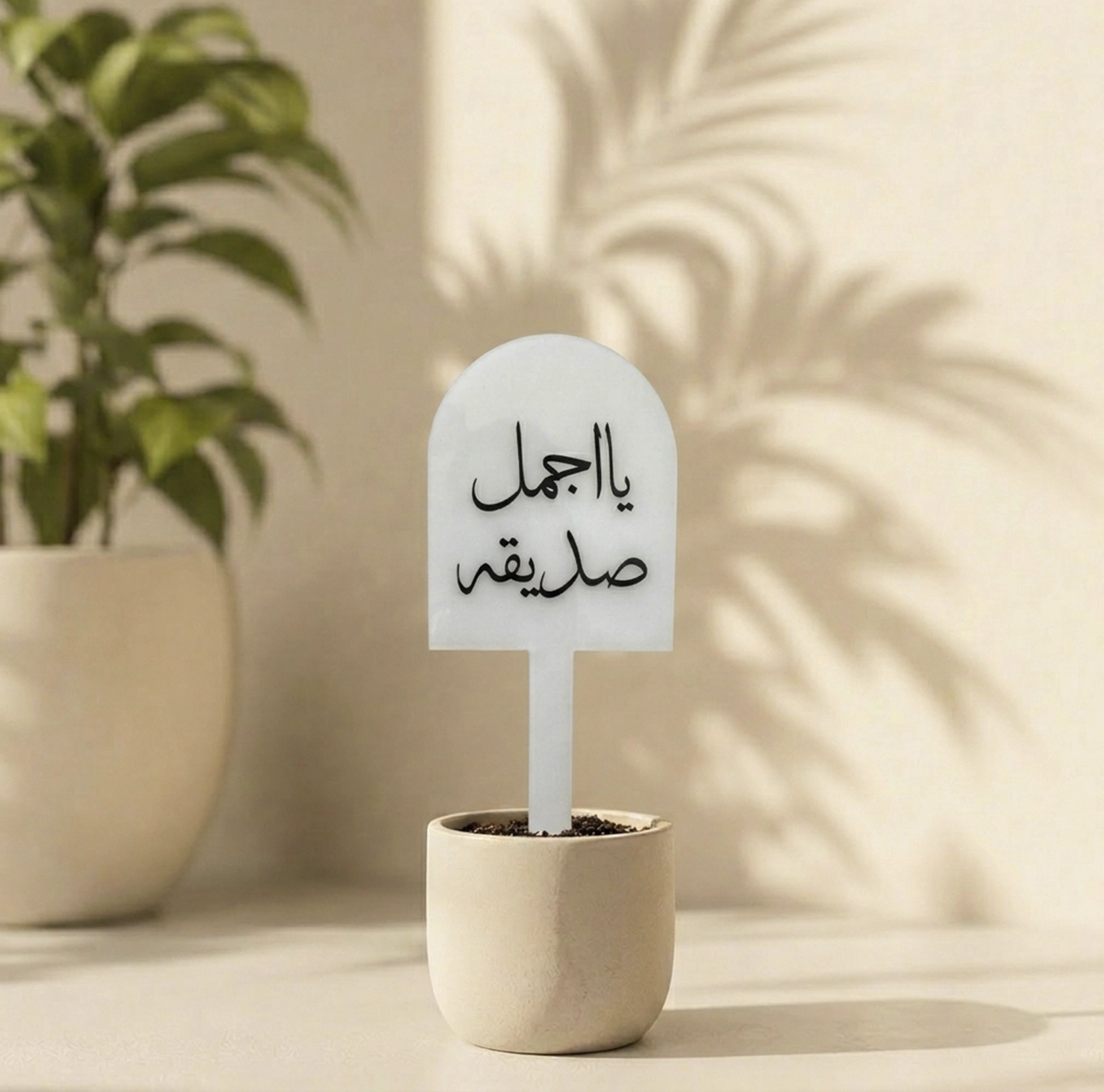 تغريسة يا اجمل صديقة