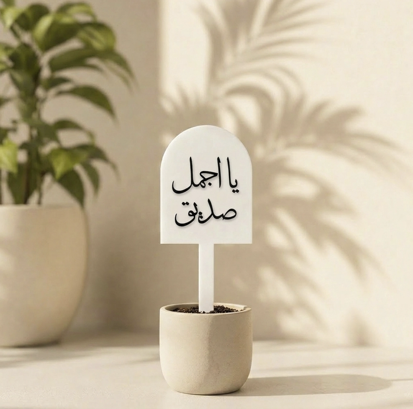 تغريسة يا اجمل صديق
