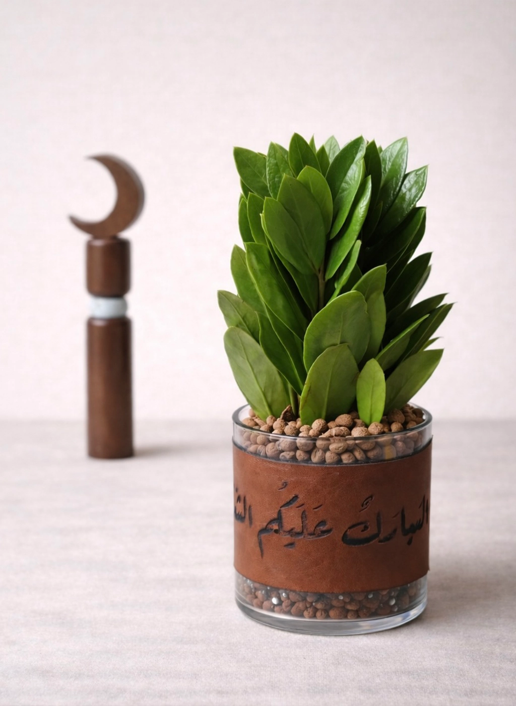 هدية نبتة الزاميا في حوض زجاجي اسطواني مع (شريطة مبارك عليكم الشهر)