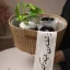 هدية-نبتة-بوتس-في-حوض-زجاجي-دائري-مع-مبخرة-شريط-رمضان-مبارك-في-سلّة-أنيقة-converted-from-png.webp